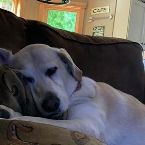 Meet your Posher, Deedra